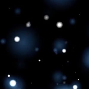 Meet your Posher, Tommie